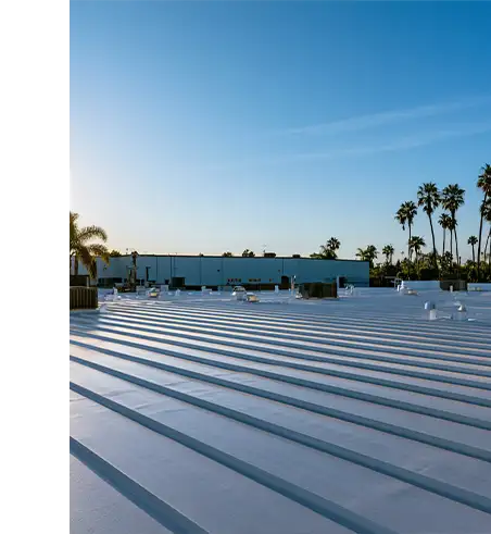 Commercial warehouse roof