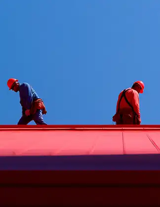 Roof Maintenance and Protection